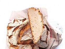 Bloch & Müller Miele backofen herd klimagaren